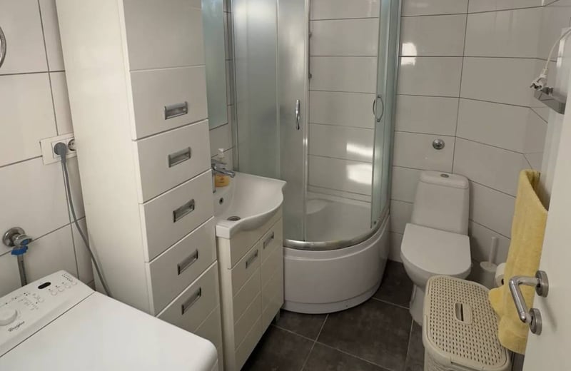 Vermietung einer gemütlichen 2-Zimmer-Wohnung, 40 m², Vračar, Belgrad, Serbien